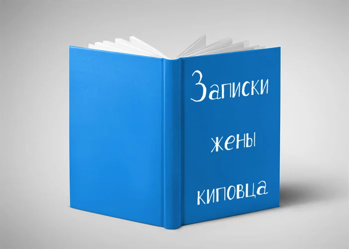 Записки жены КИПовца. - Моё, Записки жены киповца, Творчество, Рассказ, Мат