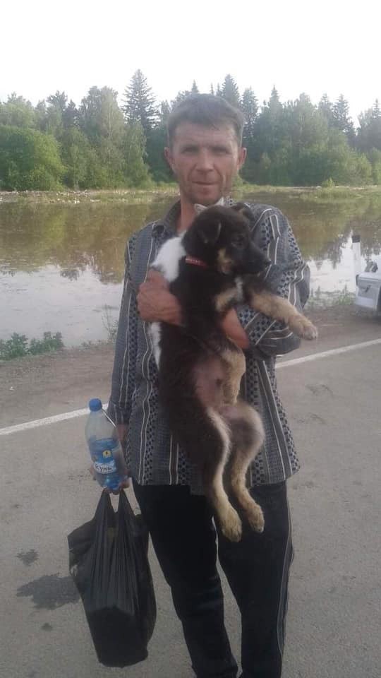 save the most valuable - The rescue, Irkutsk, Dog, Flood