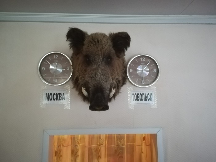 There is a HUGE difference between Moscow and Tobolsk! - Person, 5 kopecks, Moscow, Tobolsk, Boar, Head