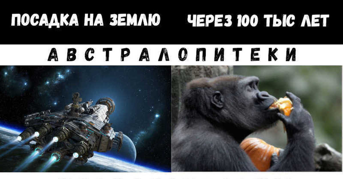 Деградация | Пикабу