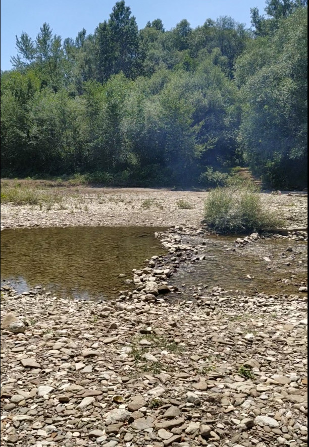 Natural Aquarium - My, River, Nature, The nature of Russia, Interesting, Under the water, Video