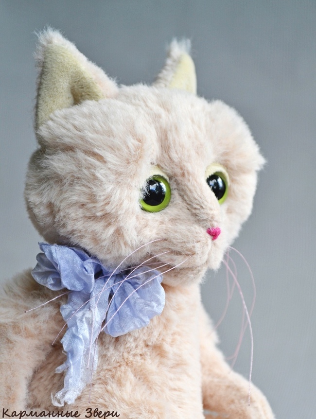 Julius cat - My, Pocket animals, Handmade, Author's toy, Needlework without process, Longpost, cat