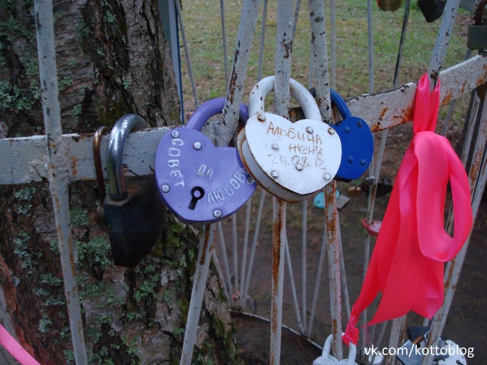 About wedding locks at the site of Gagarin's death - My, Yuri Gagarin, Memorial, Wedding, Newlyweds, Idiocy, Respect, Космонавты, Plane crash, Longpost