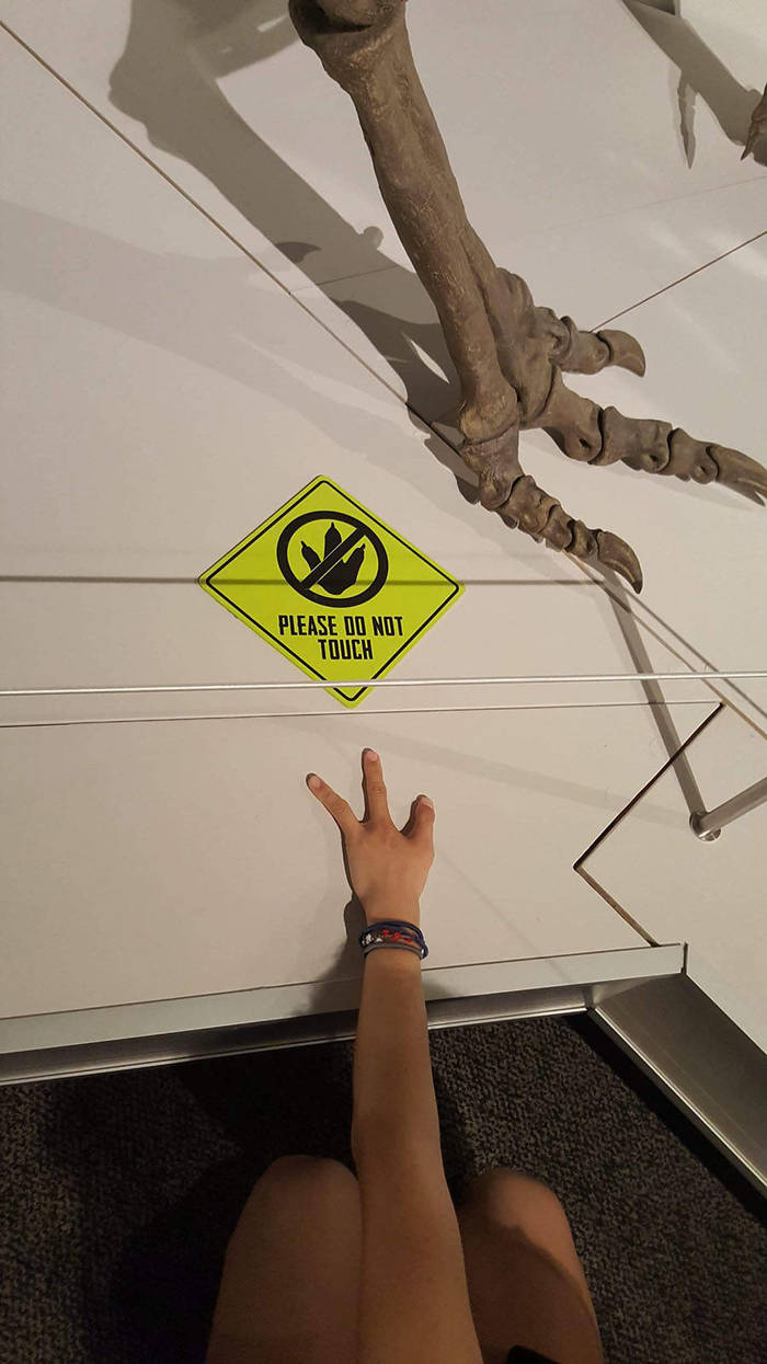 Please don't touch... - Dinosaurs, Hand, Do not touch, Fingers, The photo, 9GAG