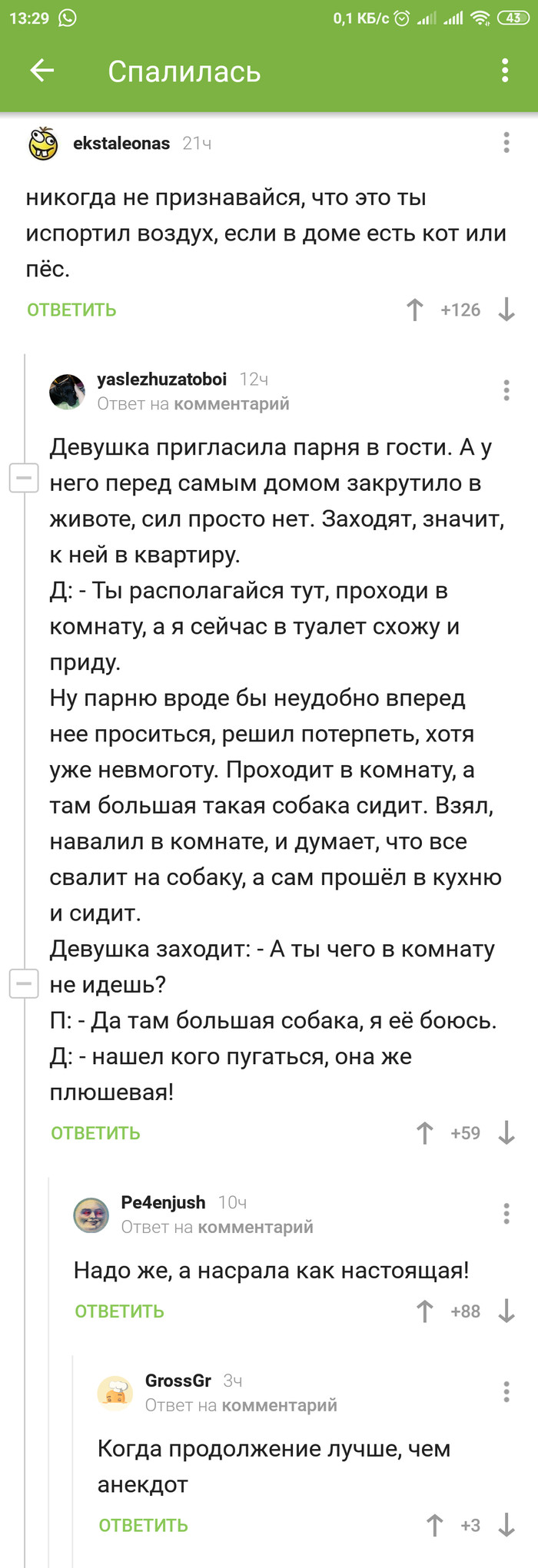 Анекдот: истории из жизни, советы, новости, юмор и картинки — Лучшее,  страница 32 | Пикабу