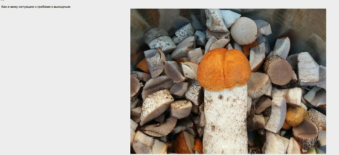 good mushroom - Mushrooms, Summer