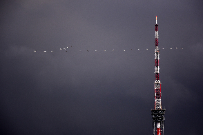 swan tower - My, The photo, Sky, Tower, Nikon