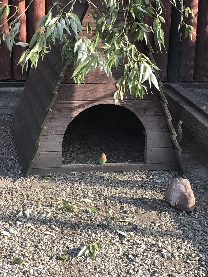 ������ ���������� ����