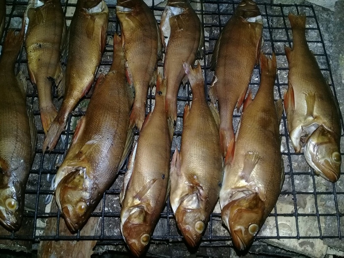 Smoked fish - My, A fish, Perch