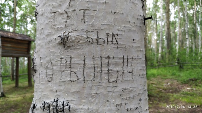 Как змей богатырям помог. - Моё, Иркутск, Байкал, Дерево, Юмор, Вандализм