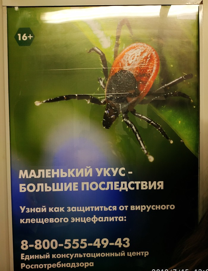 � ����� 16+?