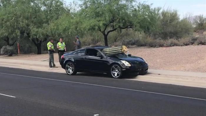 На дороге в США автомобиль не разминулся с кактусом.