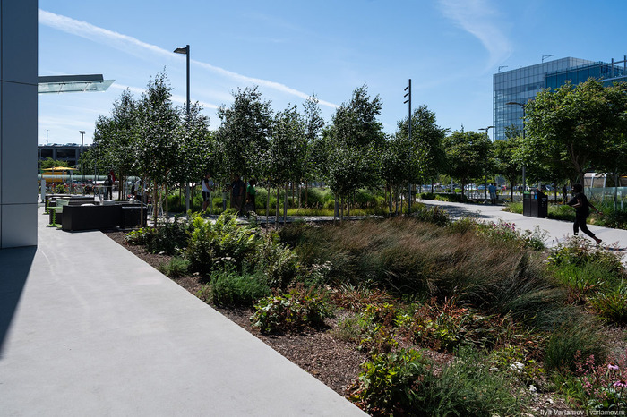 Самый крутой офис "Гугл": не работа, а курорт Google, Калифорния, Кремниевая Долина, Офис, США, Сан-Хосе, Длиннопост