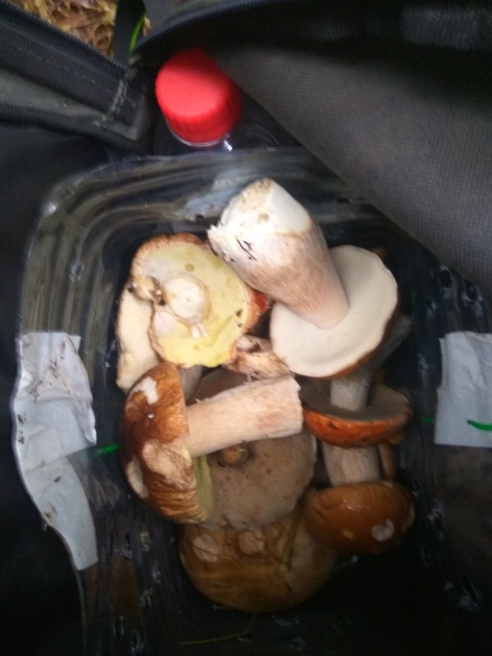 17 ,  ,  , , 