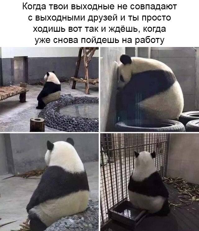 ����� ��� ������� �� �������