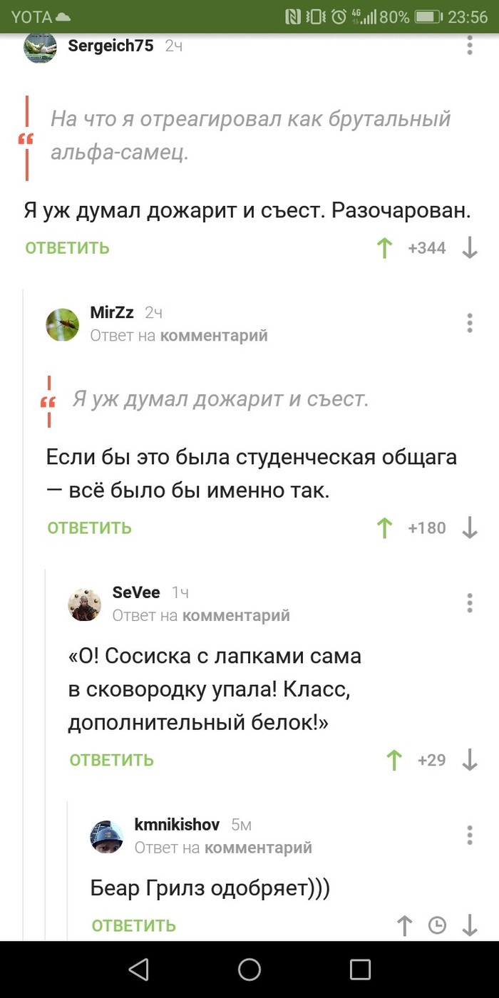 Общага, кухня, таракан - Общежитие, Многоножка, Голодовка, Комментарии на Пикабу