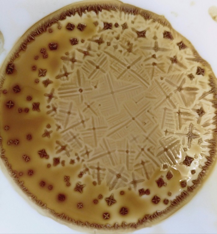 Pattern created by dried soy sauce on the bottom of a cup - My, Food, Soy sauce, Beautiful