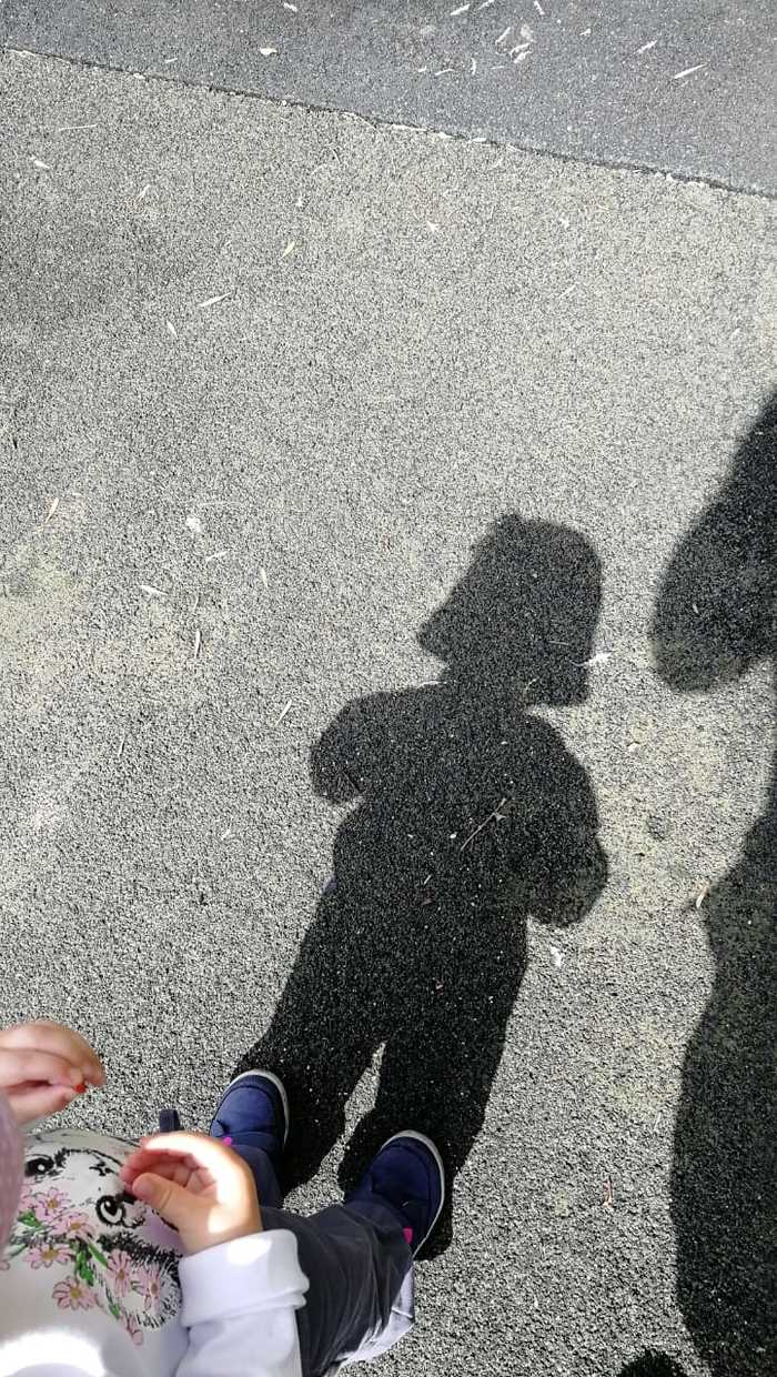 ����������...