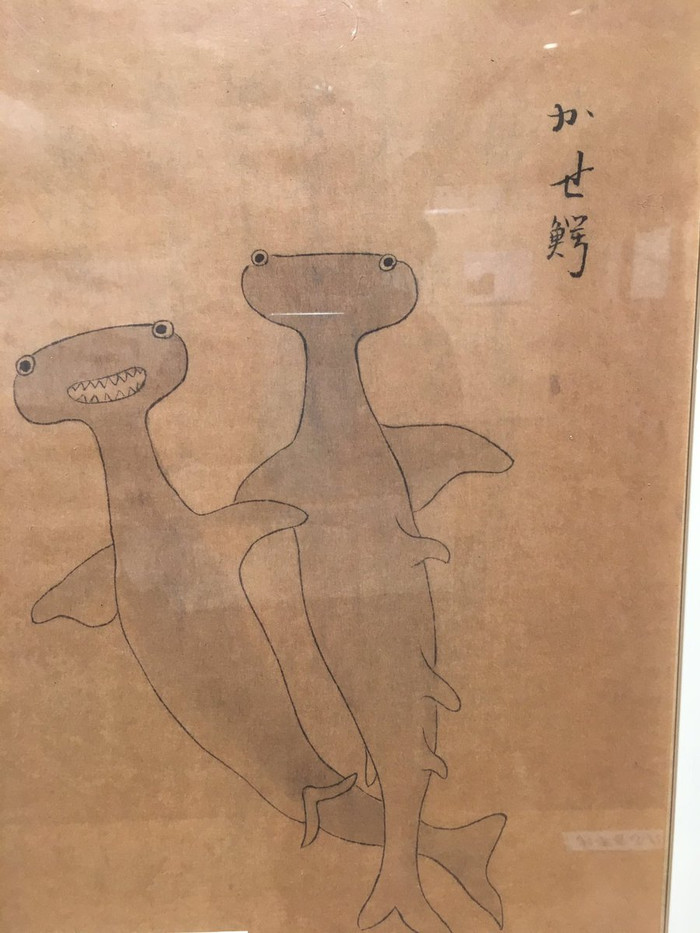 18th century drawing of a hammerhead shark - Twitter, Hammerhead Shark, Artist, Japan, Illustrations, Bakufu