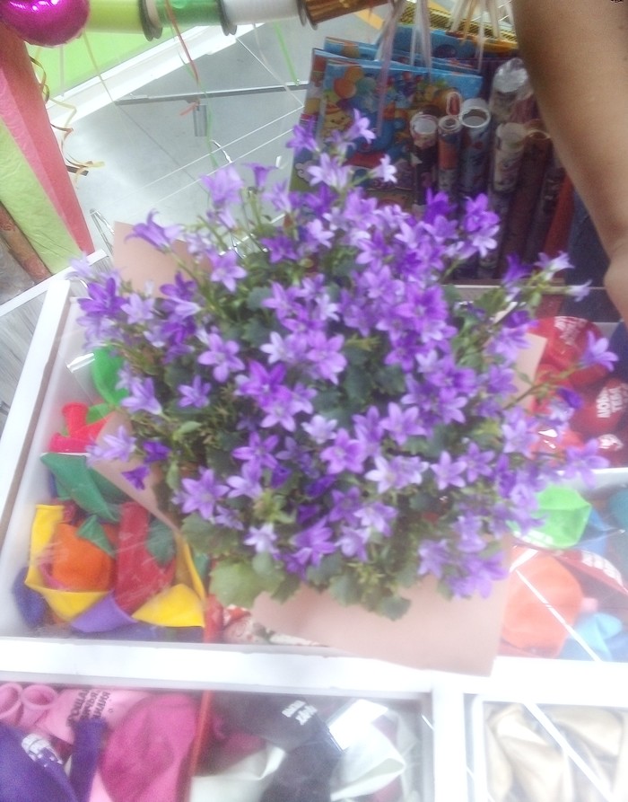 What is the name of this friend - tell, Flowers, What kind of flowers?