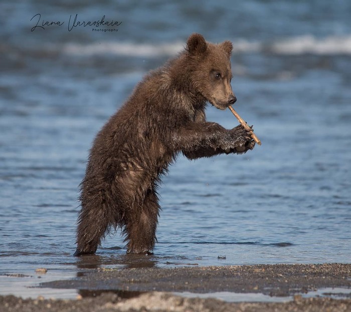 ��������