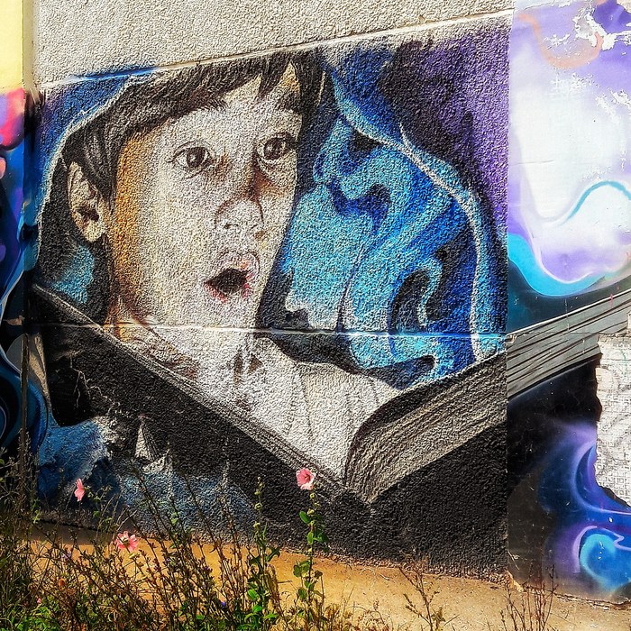 Your face when you first... - My, Graffiti, Ufa, Library, Books