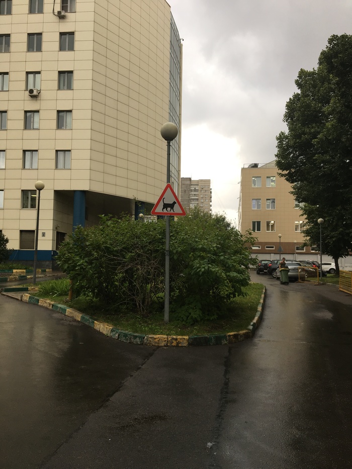 ���������! ��� ������ ������� �����