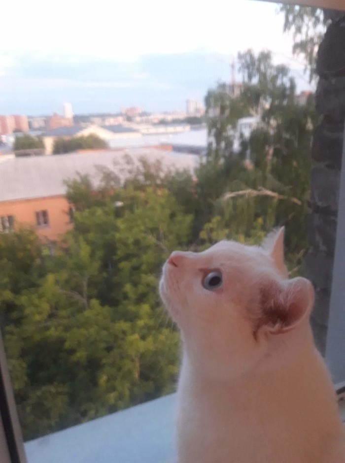 Прощай, друг.