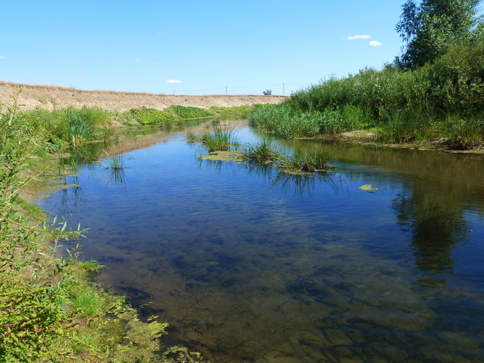 Ilovlya river. Volgograd region - My, Ilovlya, River, Video, Longpost