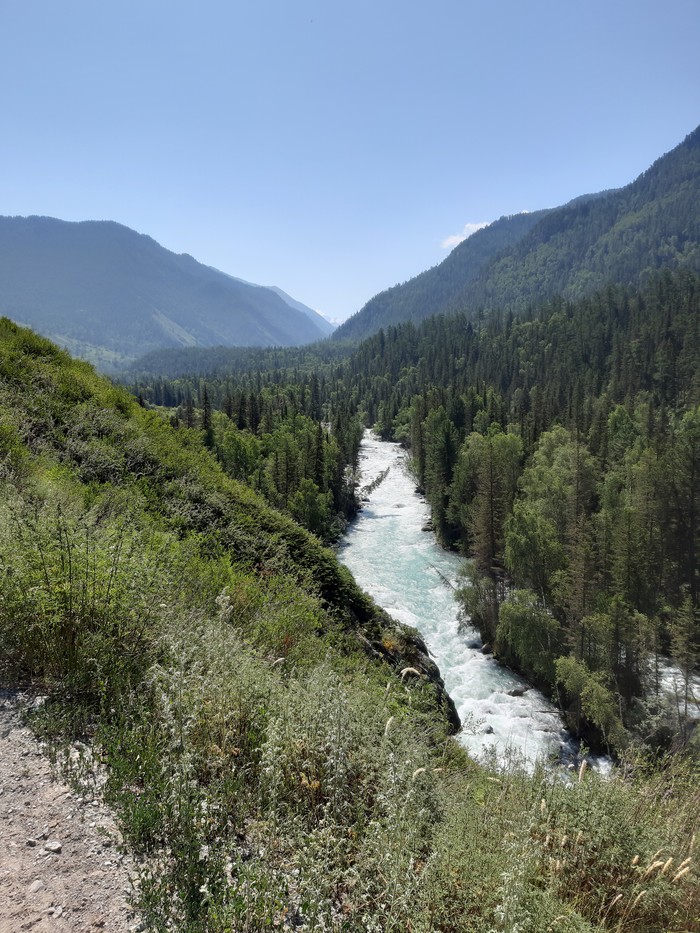 Mountain Altai. Trekking to the foot of Belukha. - Altai Republic, Longpost, Hike, The nature of Russia, Mountain Altai, Altai, My