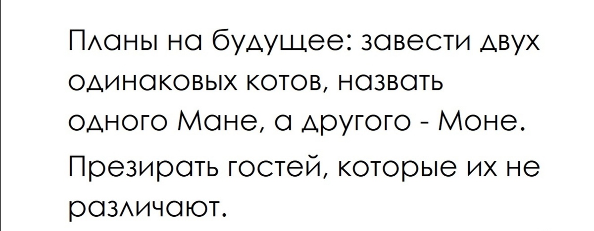 Заведи 2. Планы на будущее завести двух одинаковых котов. Коты Моне и Мане. Два кота Моне и Мане. Заведу двух одинаковых котов и назову их Мане и Моне.