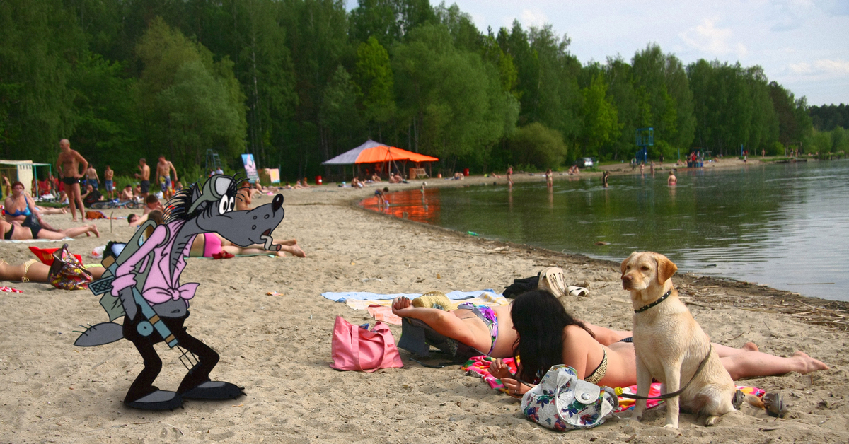 Фото пляжи челябинска. Шершни Челябинск пляж. Городской пляж Челябинск Шершни. Пляж Шершни Челябинск платный. Городской пляж.