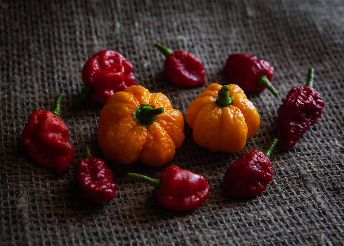 The first harvest of burning beauties - My, Pepper, Harvest, Scoville scale, Spicy