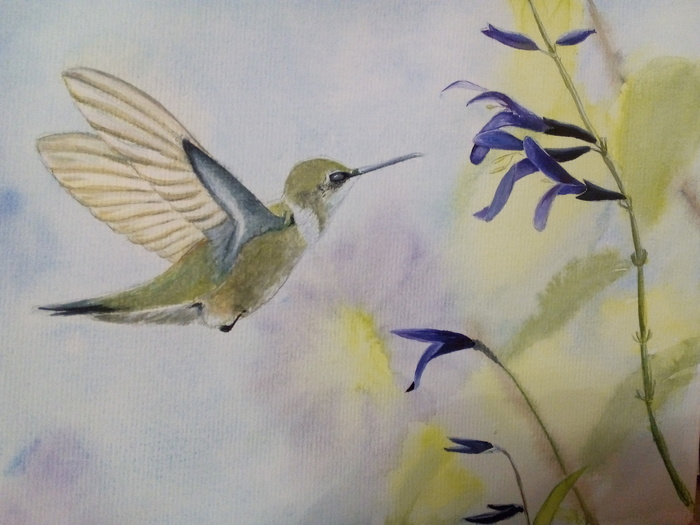 Trying to draw a bird. - My, Watercolor, Watercolor paper, Hummingbird, 