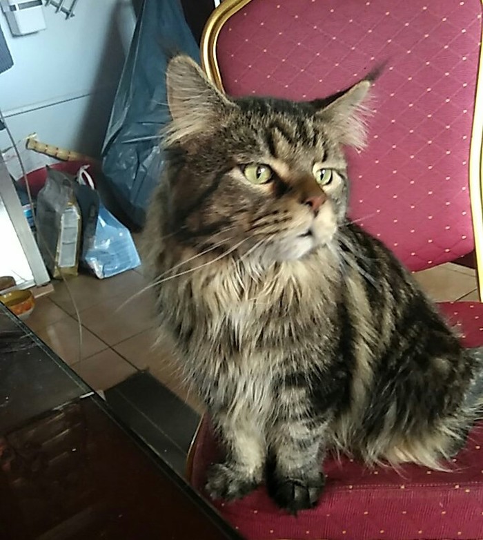     , -, 