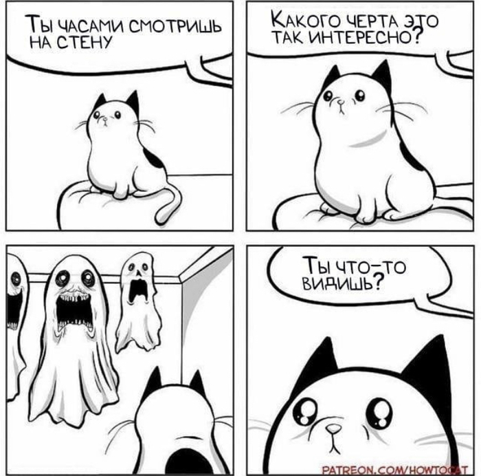 ПРИвидение