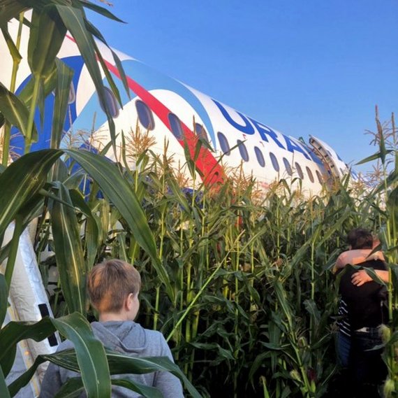 Ural Airlines landed in a field. - civil Aviation, Emergency landing, Ural Airlines, Longpost