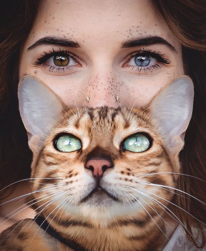 Girl and cat. Striking eyes. - Eyes, Girls, cat, Milota, Catomafia, beauty, Sukiicat