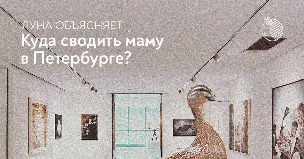 Куда сходить с мамой в Петербурге |Пикабу