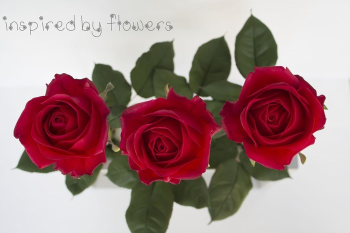 Handmade roses - Creation, With your own hands, DIY flowers, Flowers, Needlework without process, Hobby, Video, Longpost