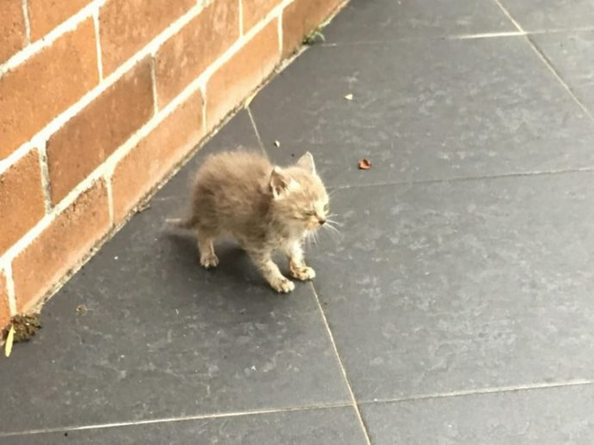 ����������