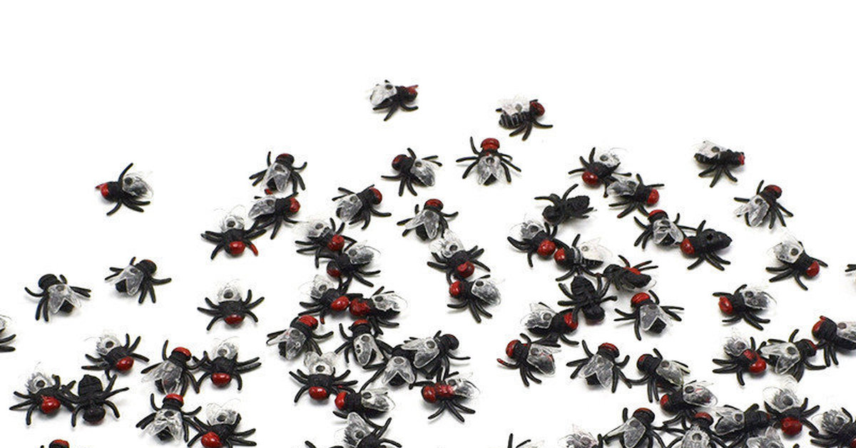 Россельхознадзор РФ задержал груз с 20 млн насекомых из Великобритании ...