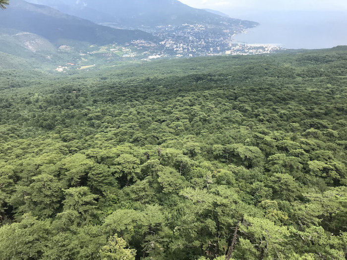 Канатная дорога Мисхор — Ай-Петри / Впечатления Крым, Ялта, Путешествия, Путешествие по России, Туризм, Авто, Длиннопост