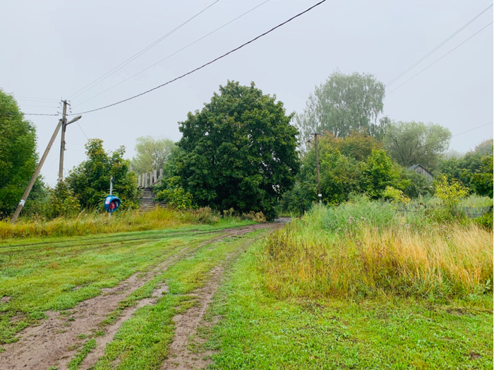 country sketches - Dacha, Summer, Relaxation, Fishing, Longpost