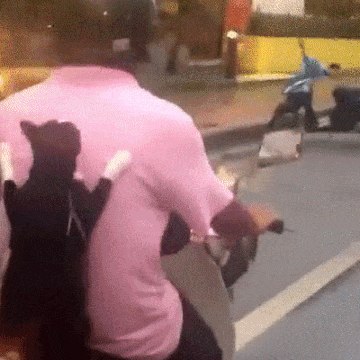 Girls, I'm taking mine out for food. - cat, Motorcycles, GIF, Moto