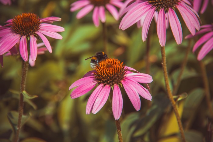 Random photos, Walk in the park Sokolovaya Gora Saratov. - My, The photo, Russia, Saratov, Canon, Lightroom, Longpost