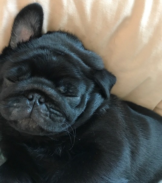 ���� ����������� 1 ��������