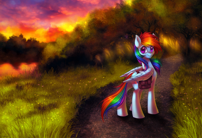   My Little Pony, , Rainbow Dash, , Limreiart