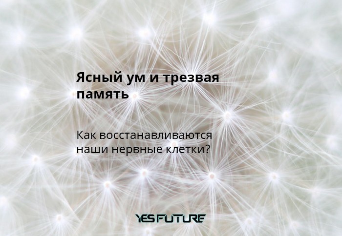 Как восстанавливаются наши нервные клетки? - Моё, Yes Future, Мозг, Нейроны, Нервные клетки, Регенерация, Человек, Длиннопост