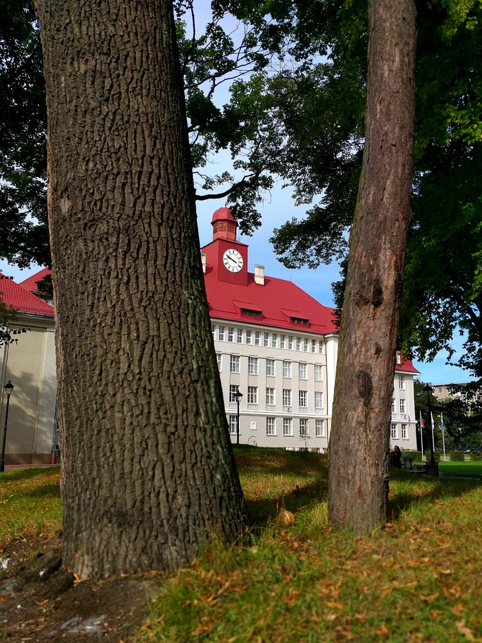 The university - My, Building, University, Autumn, The photo